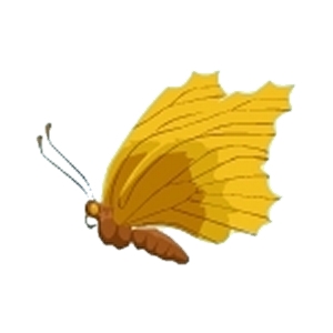 Golden Autumn Butterfly
